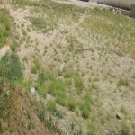 Satılır Torpaq, Badamdar qəs., Səbail rayonu 3