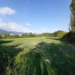 Satılır Torpaq Qəbələ 4