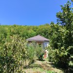 Посуточно 3 комнатная Дача Гусар 11
