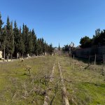 Продажа Участок, Мярдякан, Хязяр район 8