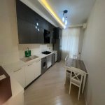 Kirayə (aylıq) 2 otaqlı Yeni Tikili, Gənclik metrosu, Nərimanov rayonu 9