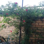 Kirayə (aylıq) 5 otaqlı Həyət evi/villa, Masazır, Abşeron rayonu 4