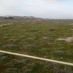 Satılır Torpaq, Türkan, Xəzər rayonu 2