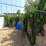Kirayə (aylıq) 3 otaqlı Həyət evi/villa, Şimal qres, Xəzər rayonu 5