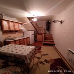 Kirayə (aylıq) 1 otaqlı Həyət evi/villa, 8 Noyabr metrosu, Nəsimi rayonu 12