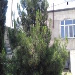 Satılır 6 otaqlı Həyət evi/villa, Bilgəh qəs., Sabunçu rayonu 11