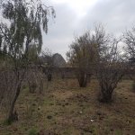 Satılır Torpaq, Novxanı, Abşeron rayonu 15