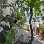 Satılır 3 otaqlı Həyət evi/villa, Badamdar qəs., Səbail rayonu 9