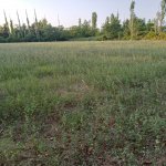 Satılır Torpaq Şəki 20