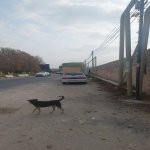 Продажа Участок, пос. Биня, Хязяр район 10