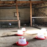 Satılır 6 otaqlı Həyət evi/villa, Novxanı, Abşeron rayonu 44