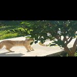 Продажа 6 комнат Дома/Виллы Гябяля 6