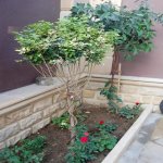 Satılır 5 otaqlı Həyət evi/villa, Lökbatan qəs., Qaradağ rayonu 12