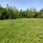 Продажа Участок Гябяля 6