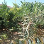 Satılır 3 otaqlı Həyət evi/villa, Xəzər rayonu 6