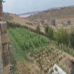 Продажа Участок, Новханы, Абшерон район 13
