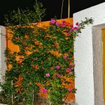 Satılır 5 otaqlı Bağ evi, Buzovna, Xəzər rayonu 10