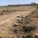 Satılır Torpaq, Koroğlu metrosu, Məhəmmədli, Abşeron rayonu 1