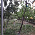 Satılır Torpaq, Avtovağzal metrosu, Sulutəpə qəs., Binəqədi rayonu 5
