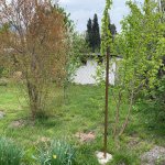 Аренда 1 комнат Дома/Виллы Огуз 17
