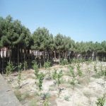 Satılır 10 otaqlı Bağ evi, Şüvəlan, Xəzər rayonu 15