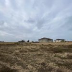 Продажа Участок, пос. Пиршаги, Сабунчу район 1