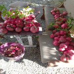Satılır 5 otaqlı Həyət evi/villa, Avtovağzal metrosu, Biləcəri qəs., Binəqədi rayonu 12