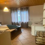 Kirayə (günlük) 3 otaqlı Bağ evi, Nəriman Nərimanov metrosu, Montin qəs., Nərimanov rayonu 5