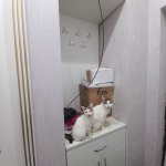 Satılır 2 otaqlı Yeni Tikili Xırdalan 13