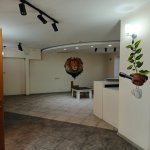 Kirayə (aylıq) 12 otaqlı Ofis, Nəsimi rayonu 13