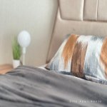Посуточно 2 комнат Новостройка, м. Ичяришяхяр метро, Сябаиль район 9