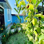 Kirayə (günlük) 3 otaqlı Bağ evi Qəbələ 7