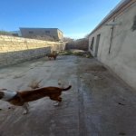 Satılır 5 otaqlı Həyət evi/villa, Əmircan qəs., Suraxanı rayonu 1
