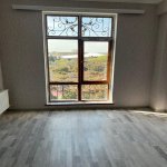 Kirayə (aylıq) 2 otaqlı Yeni Tikili, Gənclik metrosu, Nərimanov rayonu 5
