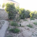 Kirayə (aylıq) 3 otaqlı Bağ evi, Fatmayi, Abşeron rayonu 4