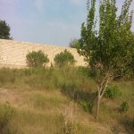 Satılır 2 otaqlı Bağ evi, Pirşağı qəs., Sabunçu rayonu 2