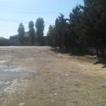 Satılır Torpaq, Digah, Abşeron rayonu 2