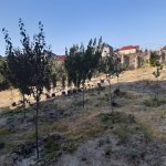 Satılır 3 otaqlı Bağ evi, Məhəmmədli, Abşeron rayonu 18
