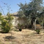 Kirayə (aylıq) 4 otaqlı Bağ evi, Xəzər rayonu 3