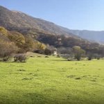 Satılır Torpaq Oğuz 5