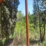 Satılır Torpaq, Novxanı, Abşeron rayonu 4