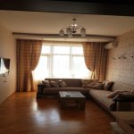 Kirayə (aylıq) 2 otaqlı Yeni Tikili, 28 May metrosu, Nəsimi rayonu 10