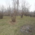 Satılır Torpaq Oğuz 3