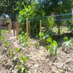 Продажа 3 комнатная Дома/Виллы, пос. Бинагяди, Бинагадинский р-н район 16