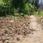 Продажа 3 комнатная Дома/Виллы, пос. Бинагяди, Бинагадинский р-н район 26