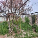 Satılır 3 otaqlı Həyət evi/villa, Koroğlu metrosu, Maştağa qəs., Sabunçu rayonu 15