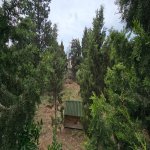 Satılır 8 otaqlı Bağ evi, Şüvəlan, Xəzər rayonu 25