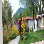 Kirayə (günlük) 2 otaqlı Həyət evi/villa Qəbələ 9