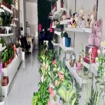 Продажа Объект Хырдалан 3