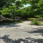 Kirayə (aylıq) 4 otaqlı Bağ evi, Novxanı, Abşeron rayonu 20